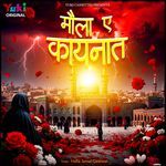 Maula e Kaynaat - Hafiz Jamal Qawwal Song Download